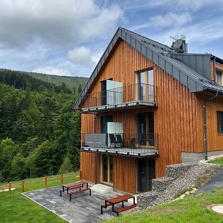 Apartman - Dolni Morava - "Sedmicka" Pro 2 Az 6 Osob Eksteriør billede