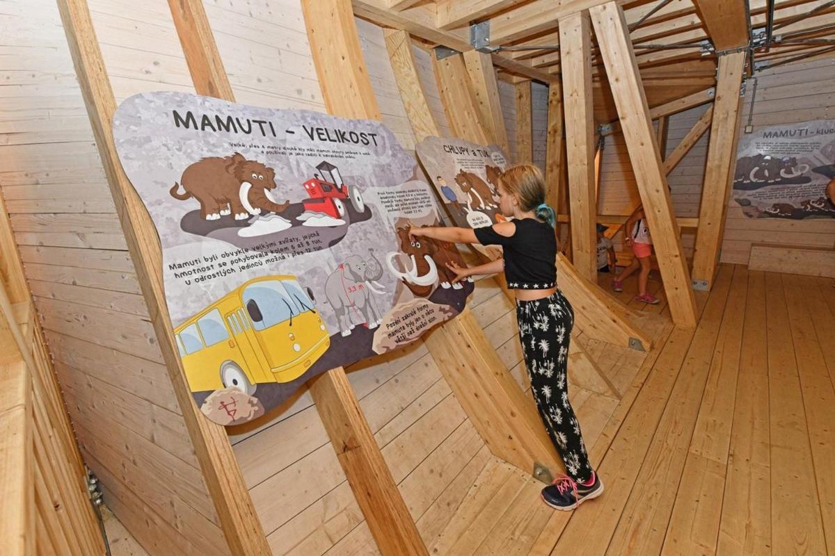 Apartman - Dolni Morava - "Sedmicka" Pro 2 Az 6 Osob Eksteriør billede